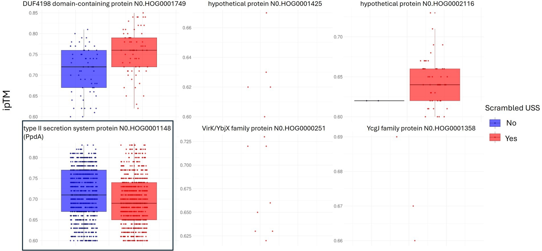 Box plots compare ipTM values for various proteins with USS andscrambled USS. Proteins include DUF4198, hypothetical proteins, type II secretion system/PpdA/ComN, VirK/YbjX, and YcgJ. Red color indicate modeled with scrambled USS presence and blue color USS.