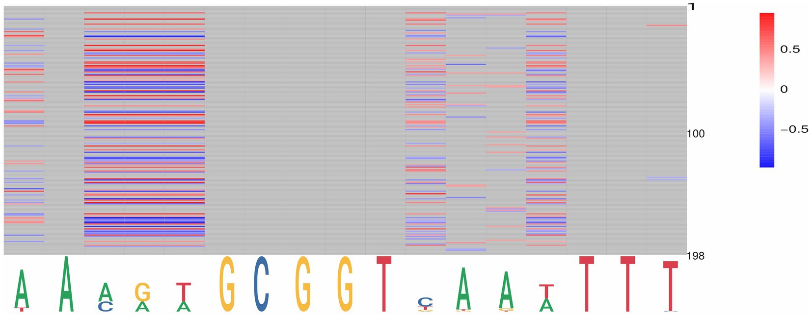 Heatmap with rows of varied red and blue horizontal lines representing intensity levels, ranging from -0.5 (blue) to 0.5 (red) on the scale. Below the heatmap, a sequence logo depicts nucleotide frequencies with letters A, C, G, and T in different colors and sizes.