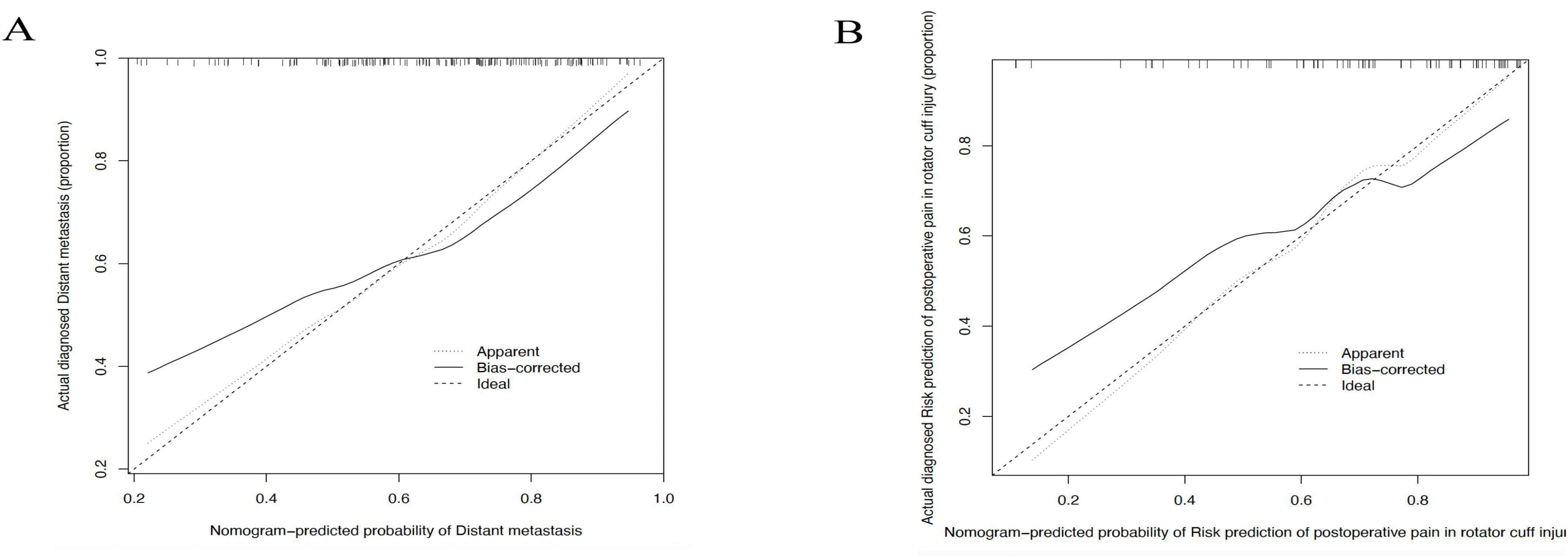 Two calibration plots labeled A and B. Plot A depicts the alignment between the actual proportion of diagnosed distant metastasis and its nomogram-predicted probability, including apparent, bias-corrected, and ideal curves. Plot B shows a similar comparison for the risk prediction of postoperative pain in rotator cuff injury, displaying apparent, bias-corrected, and ideal curves. Both plots display a diagonal line representing the ideal prediction alignment.