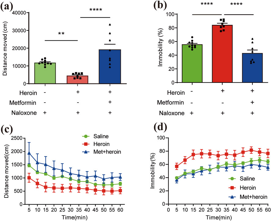 Four-panel data visualization showing behavioral effects of heroin, metformin, and naloxone. (a) Bar graph illustrating distance moved in centimeters under different treatments, showing increased movement with naloxone. (b) Bar graph depicting immobility percentages, with heroin increasing immobility. (c) Line graph of distance moved over time, indicating reduced movement with heroin. (d) Line graph of immobility over time, showing higher immobility with heroin. Statistical significance is marked with asterisks.