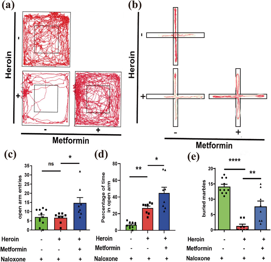 Four panels show data on the effects of heroin, metformin, and naloxone. Panel (a) shows movement paths in open fields, with differences in activity levels. Panel (b) shows movement in an elevated plus maze, indicating varying anxiety levels. Panel (c) is a bar graph of open arm entries, showing heroin's influence reduced by metformin and naloxone. Panel (d) is a bar graph of time spent in open arms, with heroin's effects mitigated by treatments. Panel (e) shows the number of buried marbles, reflecting the same trend. Statistical significance varies with asterisks indicating levels (*, **, ****).