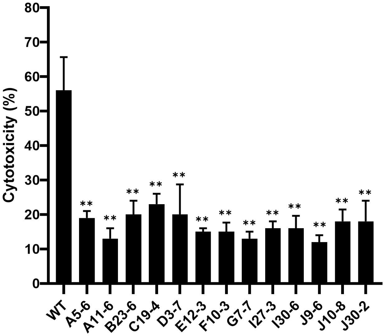 Bar chart displaying cytotoxicity percentages for various samples labeled WT, A5-6, A11-6, B23-6, C19-4, D3-7, E12-3, F10-3, G7-7, I27-3, I30-6, J9-6, J10-8, J30-2. WT shows the highest cytotoxicity, exceeding fifty percent, while other samples have lower percentages around fifteen to thirty percent. Asterisks indicate statistical significance.