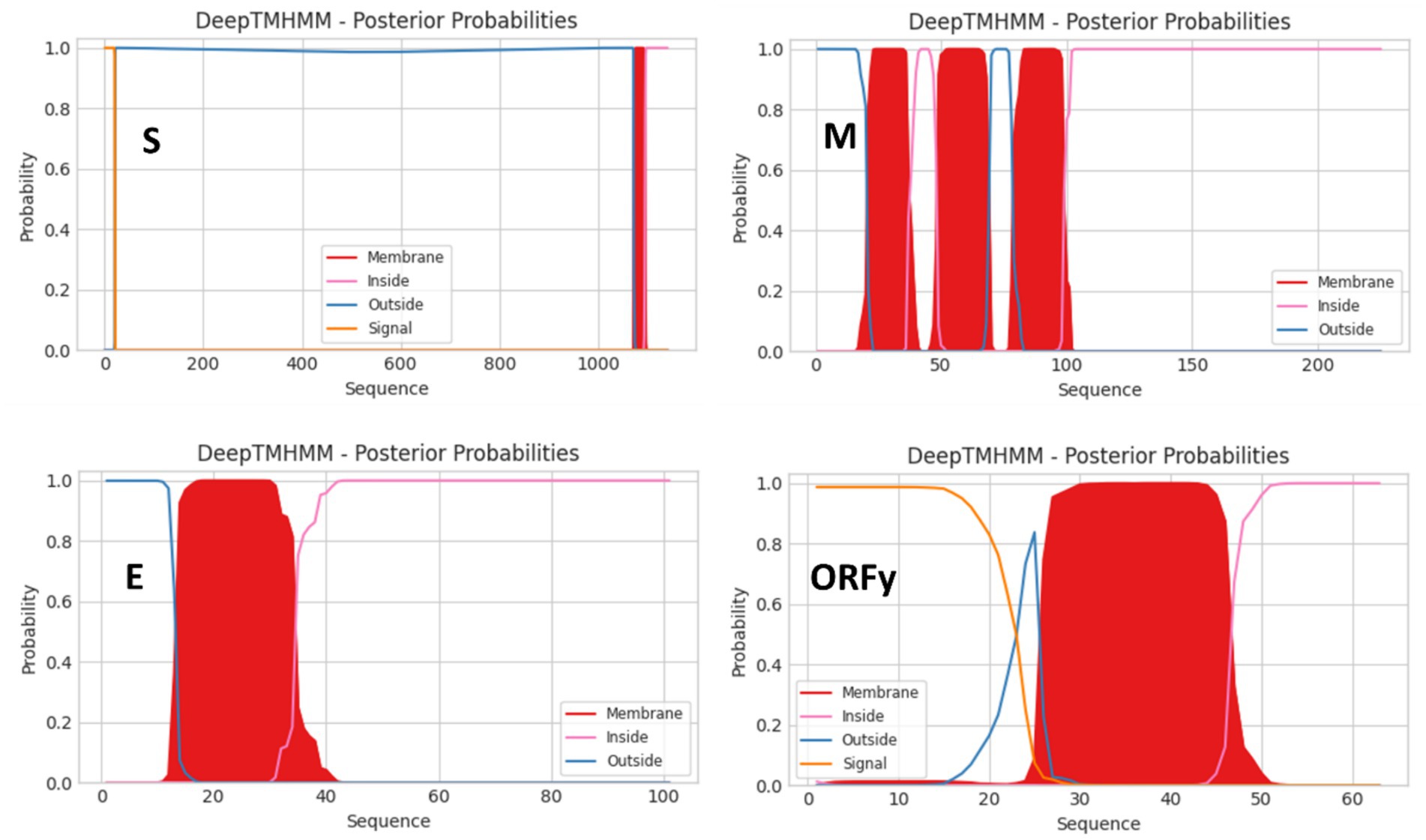 Four charts displaying DeepTMHMM posterior probabilities for different sequences, labeled S, M, E, and ORFy. Each chart shows lines representing probabilities for membrane, inside, outside, and signal. The charts depict variations in each sequence's regions, highlighting red areas for membrane probabilities.