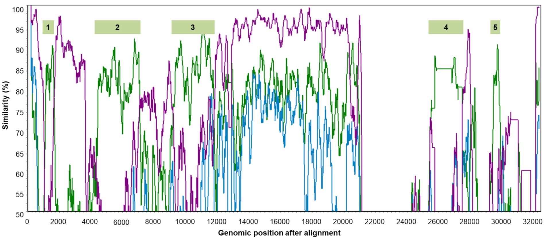 Line graph depicting similarity percentages against genomic positions after alignment. Five sections are labeled from one to five. The graph features three colored lines (purple, green, and blue) showing fluctuations in similarity across different positions on the genome, ranging from 50% to 100%.