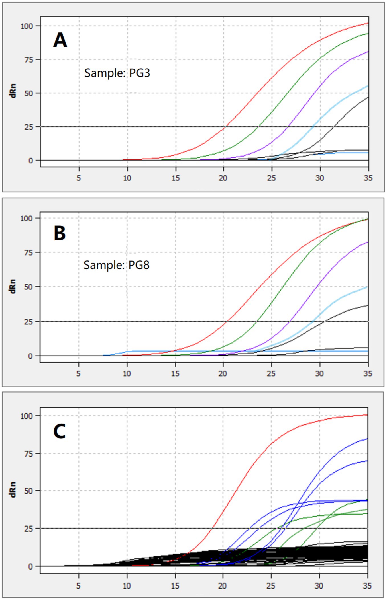Three amplification plots show dRn values over cycles. Panel A shows Sample PG3, panel B shows Sample PG8, and panel C represents another sample. Curves indicate fluorescence intensity changes.
