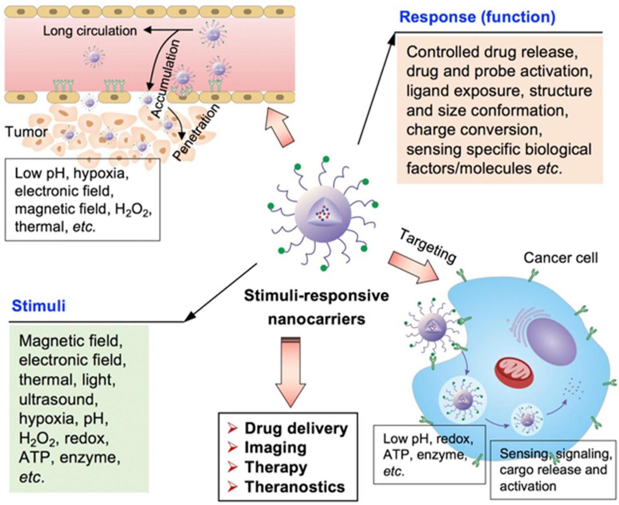 Diagram illustrating stimuli-responsive nanocarriers for cancer therapy. Top left: tumor environment with low pH and various factors like hypoxia. Center: nanocarrier responsive to stimuli such as magnetic fields and light. Right: targeting cancer cells, releasing drugs, and activating probes. Bottom left: key applications include drug delivery, imaging, therapy, and theranostics.