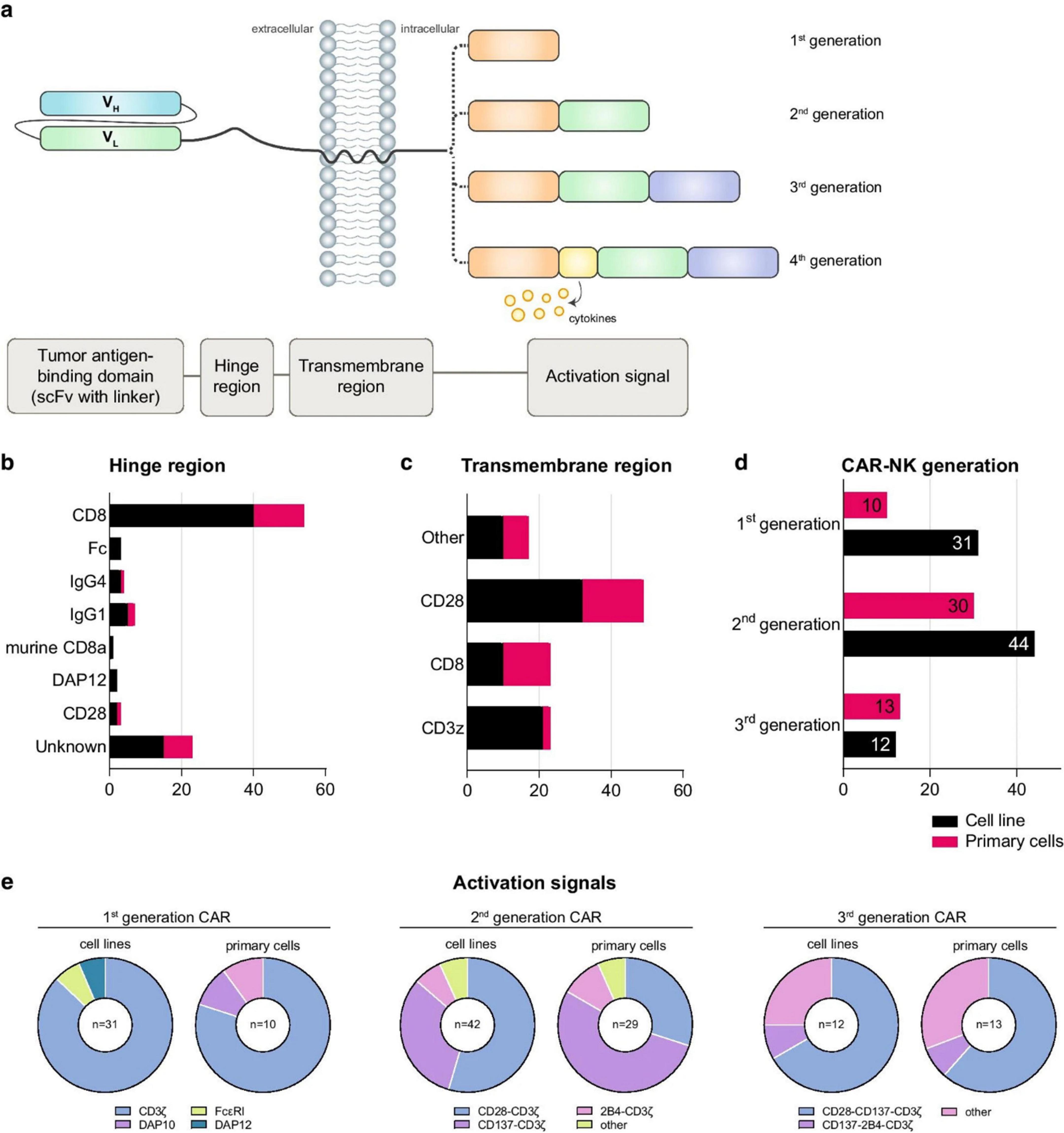 Diagram of CAR-NK cell structure and analysis: (a) Illustration showing CAR structure with tumor antigen-binding domain, hinge region, transmembrane region, and activation signals, differentiated by generation. (b) Bar chart of hinge region composition, showing CD8, Fc, IgG variants, DAP12, and CD28, with unknown components. (c) Bar chart for transmembrane regions, highlighting CD28, CD8, CD3z, and others. (d) Bar chart of CAR-NK generation distribution: first, second, and third generations with cell lines and primary cells. (e) Pie charts depicting activation signals in first, second, and third-generation CARs for cell lines and primary cells.