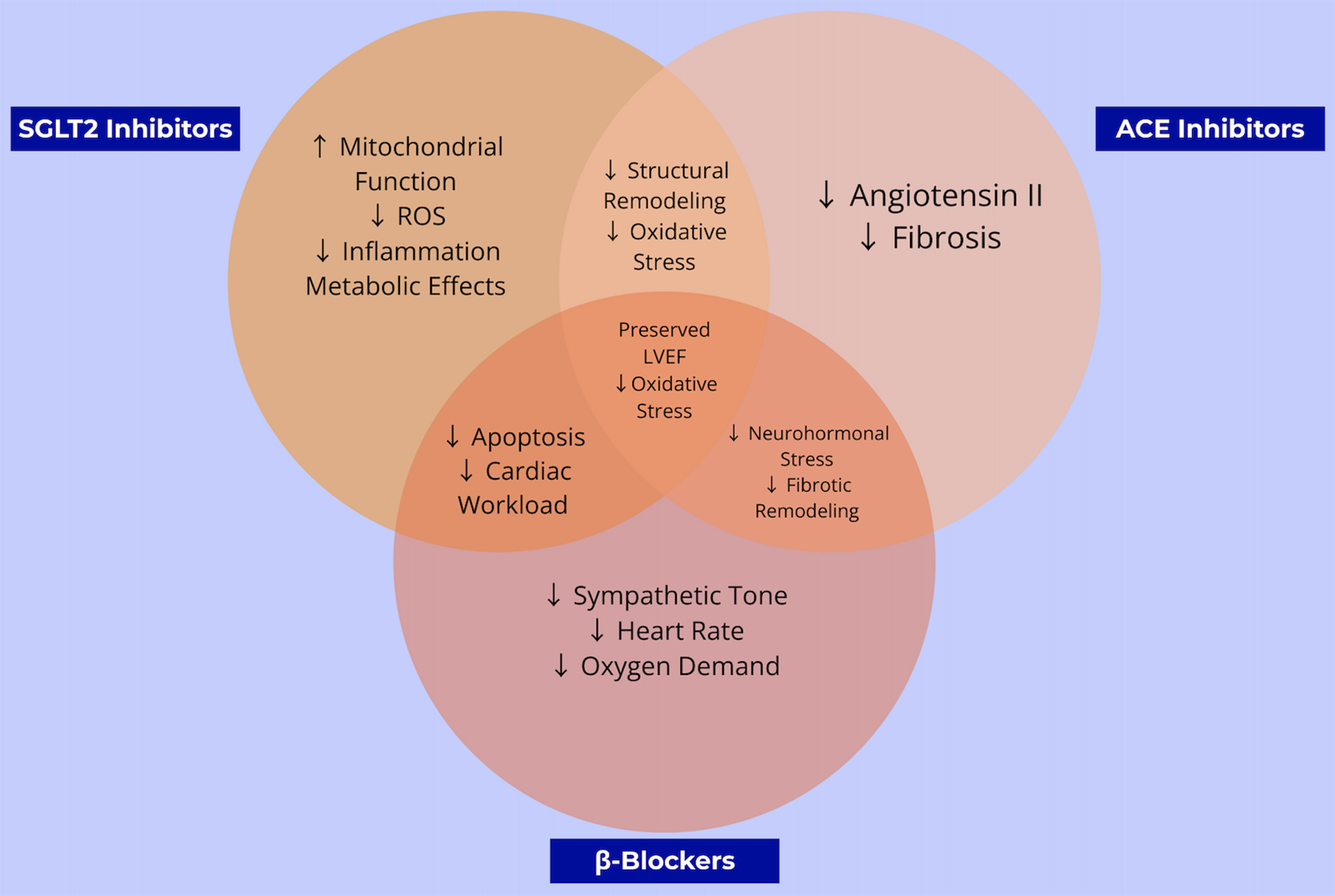 Venn diagram illustrating the mechanistic overlap of cardioprotective agents in anthracycline-induced cardiotoxicity. The diagram has four sections representing SGLT2 inhibitors, ACE inhibitors, β-blockers, and overlapping benefits. SGLT2 inhibitors affect mitochondrial function, ROS, inflammation, and metabolism. ACE inhibitors influence angiotensin II and fibrosis. β-blockers relate to sympathetic tone, heart rate, and oxygen demand. The central overlaps show shared benefits like reduced oxidative stress and preserved LVEF.
