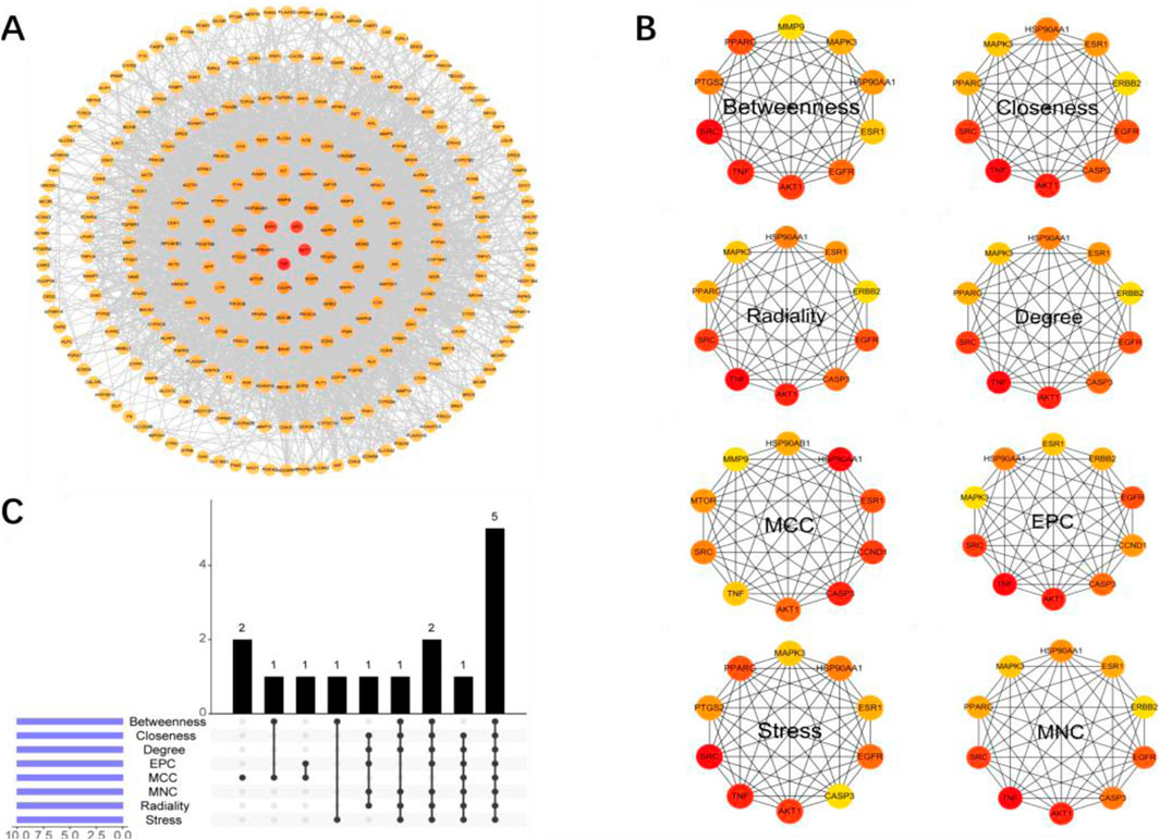 Diagram with three sections. A) Circular network graph with nodes in red and orange, interconnected by lines. B) Eight smaller network graphs titled Betweenness, Closeness, Radiality, Degree, MCC, EPC, Stress, and MNC, each with twelve interconnected nodes. C) Bar chart showing black bars representing measures like Betweenness, Closeness, Degree, and others, with numbers ranging from one to five.