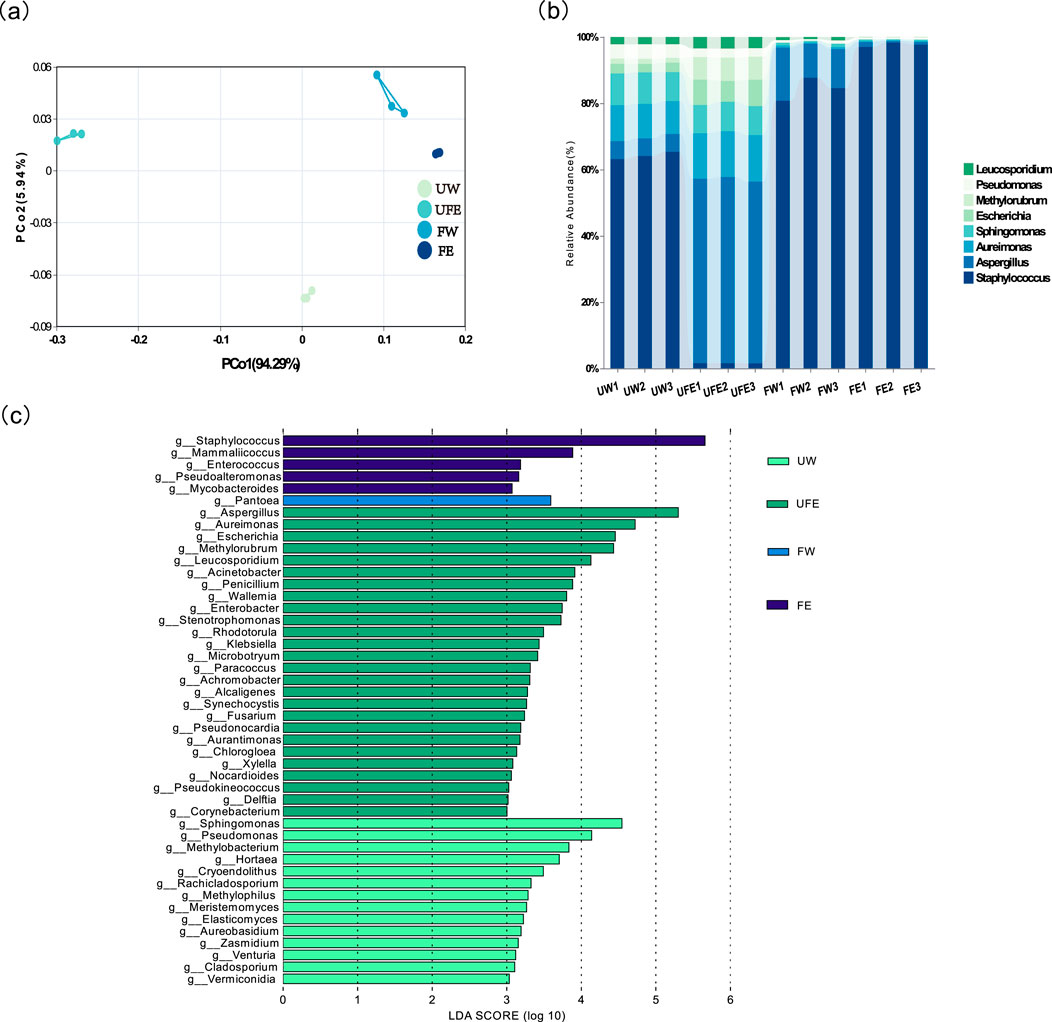 Microbial community composition of cigar tobacco leaves across treatments. (a) PCoA plot displaying distinct clustering of UW, UFE, FW, and FE groups, indicating structural differences in bacterial communities. (b) Stacked bar chart showing genus-level relative abundances, with dominant taxa including Staphylococcus, Aspergillus, Pseudomonas, Escherichia, and Methylobacterium. (c) LEfSe analysis bar plot of significantly differentiated genera across groups, highlighting taxa enriched in each treatment, such as Aspergillus in UFE, Pantoea in FW, and Staphylococcus with Pseudoalteromonas in FE. The results confirm that tobacco flower bud extract drives marked microbial succession.