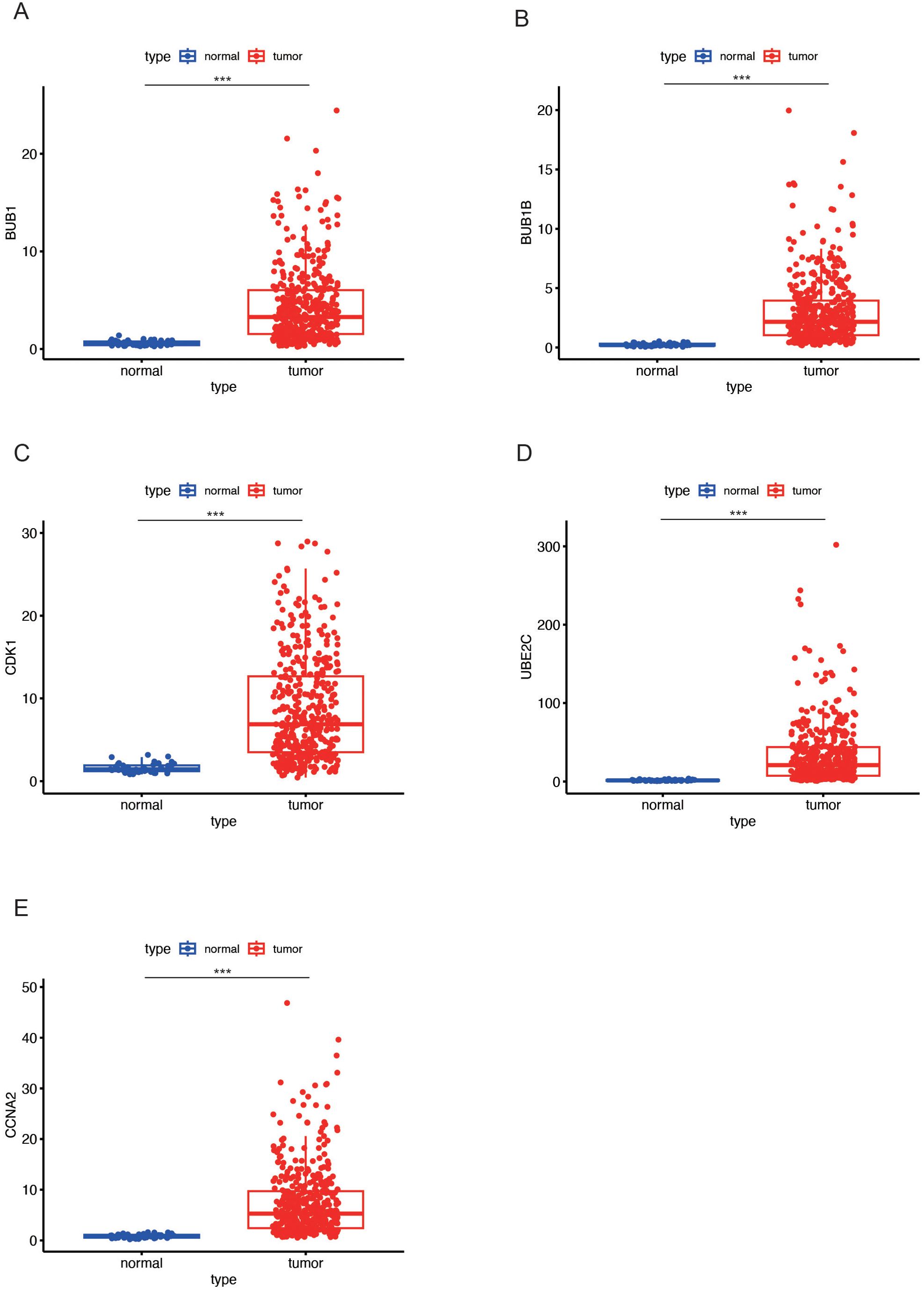 Scatter plots A to E compare the expression levels of genes BUB1, BUB1B, CDK1, UBE2C, and CCNA2 in normal versus tumor tissues. Each plot shows a significant increase in expression in tumor tissues, indicated by red, compared to normal tissues in blue. The p-value is less than 2.22e-16 for all comparisons.