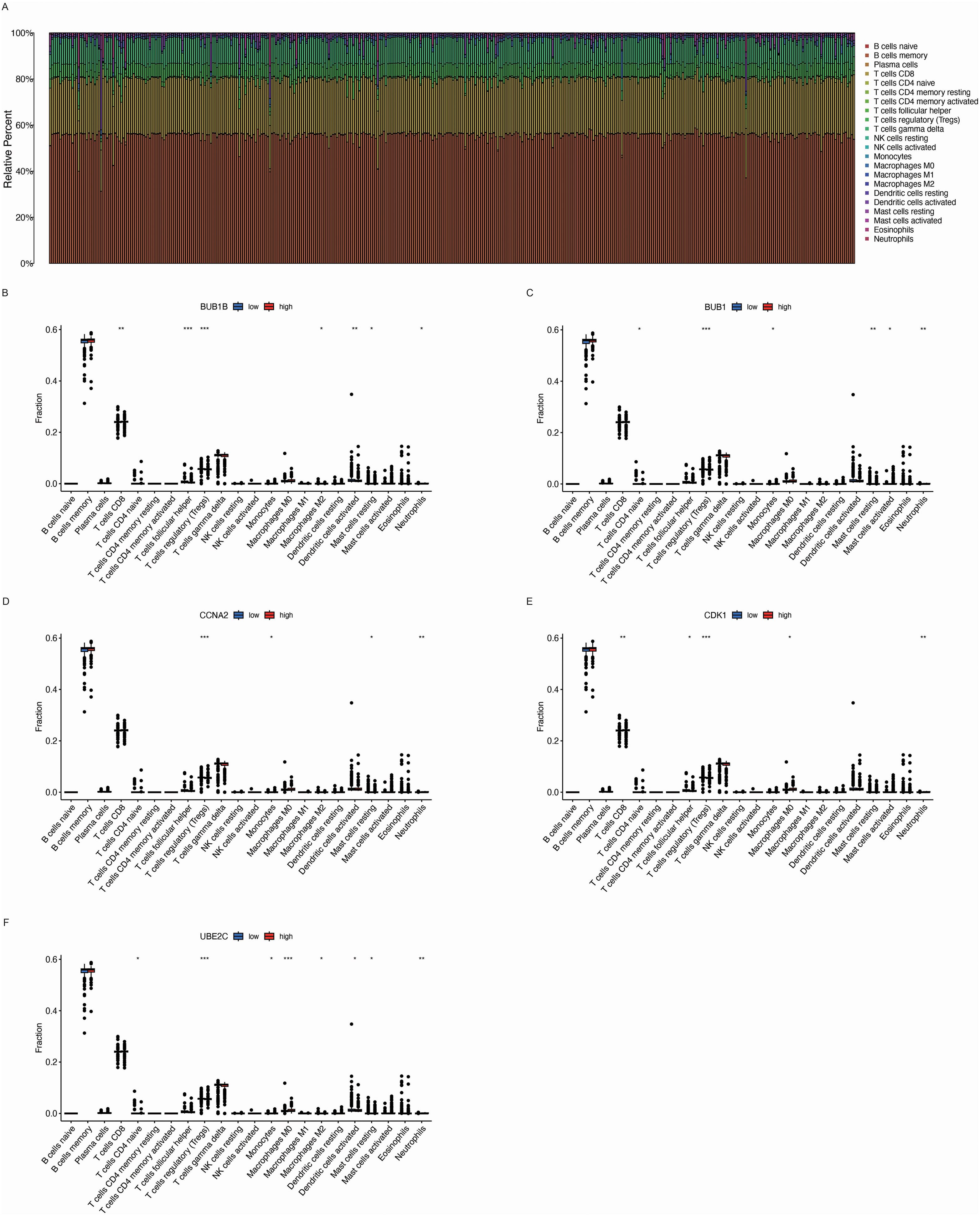 Bar chart and scatter plot panels analyzing immune cell fractions. The bar chart (A) shows relative percentages of various immune cells across samples. Panels B to F present scatter plots depicting fractions of different cell types for genes BUB1B, BUB1, CCNA2, CDK1, and UBE2C, respectively. Each plot compares low and high expression groups, highlighting differences in cell infiltration across immune types including B cells, T cells, macrophages, mast cells, and neutrophils. Statistical significance is indicated with asterisks.