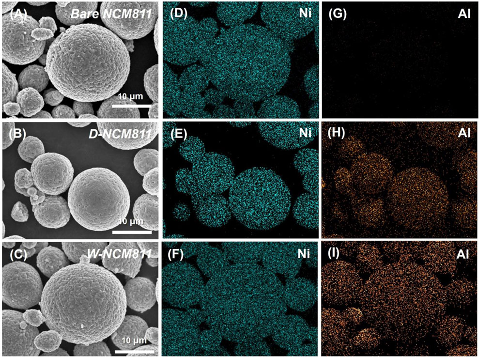 Scanning electron microscopy (SEM) images of NCM811 particles in three conditions: bare, doped, and washed, labeled as A, B, and C. Corresponding elemental maps show nickel (Ni) and aluminum (Al) distribution in panels D-I.