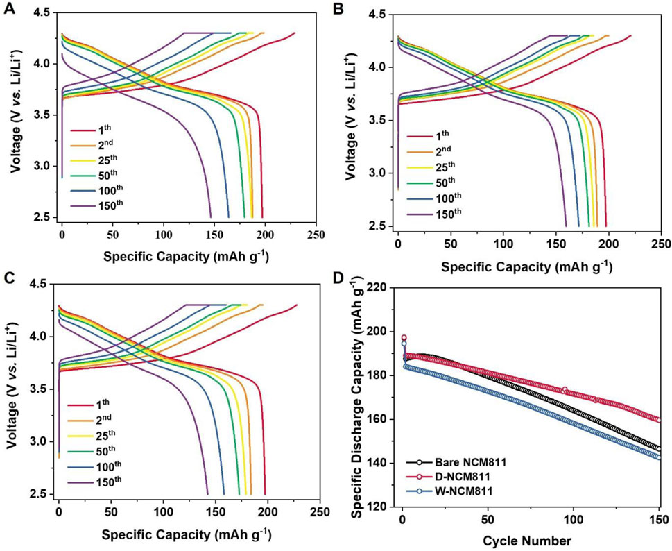 Graphs A, B, and C show voltage versus specific capacity for different cycles of a battery, with curves for the 1st, 2nd, 25th, 50th, 100th, and 150th cycles. Graph D presents specific discharge capacity versus cycle number for three materials: Bare NCM811, D-NCM811, and W-NCM811.
