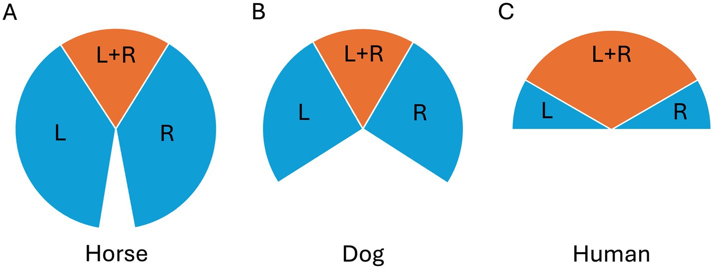 Three pie charts labeled A, B, and C illustrate visual field distribution for horses, dogs, and humans, respectively. Chart A shows equal divisions for left (L), right (R), and left plus right (L+R) fields. Chart B shows similar L+R section as A, but smaller left and right fields. Chart C indicates minimal left and right fields and a predominant L+R field.