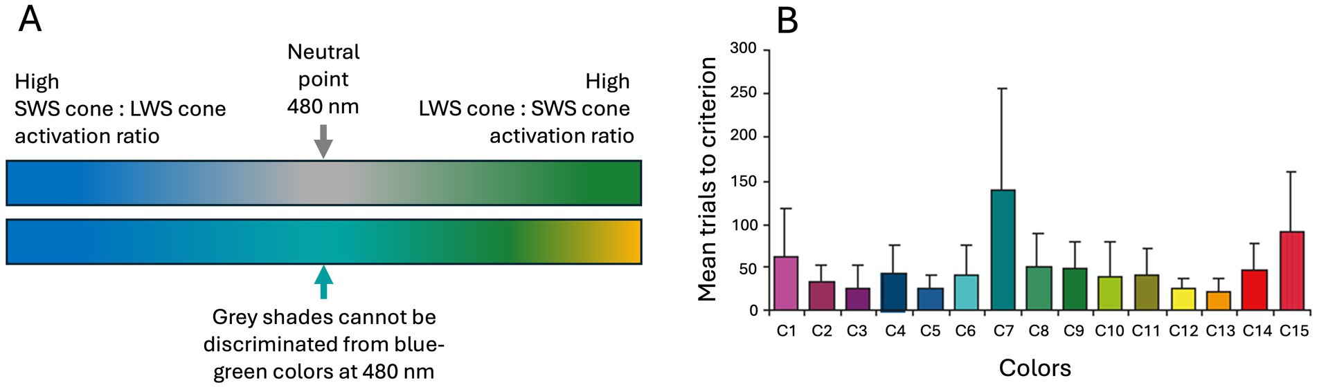 Image A shows two horizontal color gradients. The first gradient transitions from blue to grey to green, indicating a shift from high SWS to high LWS cone activation ratios with a neutral point at 480 nanometers. The second gradient transitions from blue-green to green and yellow, with a note that grey shades cannot be distinguished from blue-green at 480 nanometers. Image B is a bar graph titled “Mean trials to criterion” with colors C1 to C15 on the x-axis and trials on the y-axis. The bars vary in height and color, representing different mean trials needed for each color.