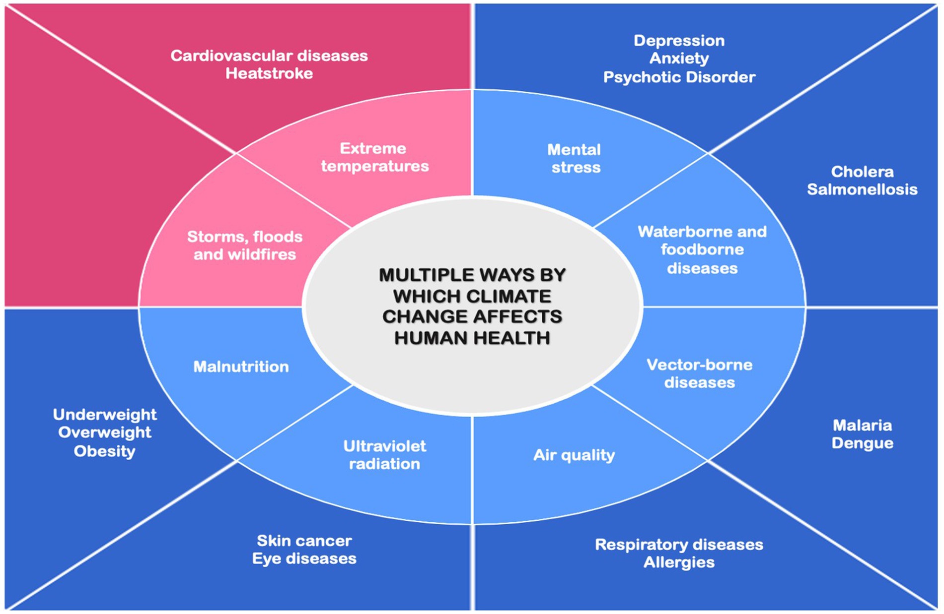 Diagram illustrating multiple ways climate change affects human health, divided into sectors: Extreme temperatures cause cardiovascular diseases and heatstroke; storms and floods lead to malnutrition; ultraviolet radiation results in skin cancer and eye diseases; air quality impacts respiratory diseases and allergies; waterborne diseases cause cholera; vector-borne diseases spread malaria and dengue; mental stress results from depression and anxiety.