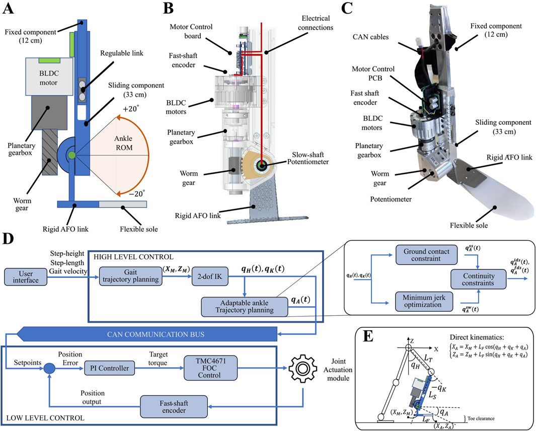 A technical illustration of an ankle-foot orthosis (AFO) system. Panel A shows a diagram of the mechanism, highlighting components such as the BLDC motor, planetary gearbox, worm gear, and adjustable links. Panel B details the internal structure with similar components. Panel C displays the actual prototype with labeled features like CAN cables and flexible sole. Panel D outlines the control system flowchart, dividing into high-level and low-level control processes. Panel E provides a schematic of direct kinematics, showing joint angles and positions for toe clearance. The image illustrates mechanical and control engineering aspects of the system.
