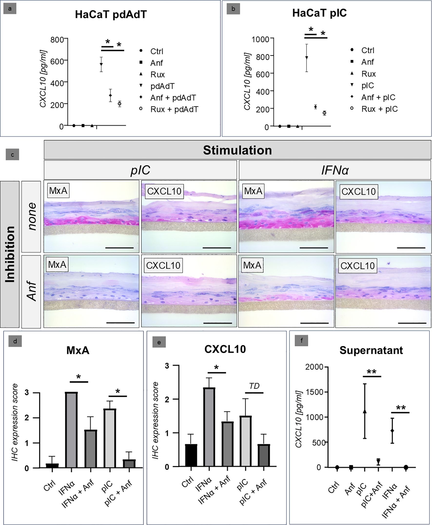 Graphs and images illustrate CXCL10 levels and expression in HaCaT cells under various conditions. Panels (a) and (b) show CXCL10 concentrations with different treatments. Panel (c) displays histological sections under pIC and IFNα stimulations with or without Anf inhibition, stained for MxA and CXCL10. Panels (d) and (e) present IHC expression scores of MxA and CXCL10. Panel (f) shows CXCL10 levels in supernatant under different treatments. Statistical significance is indicated by asterisks.