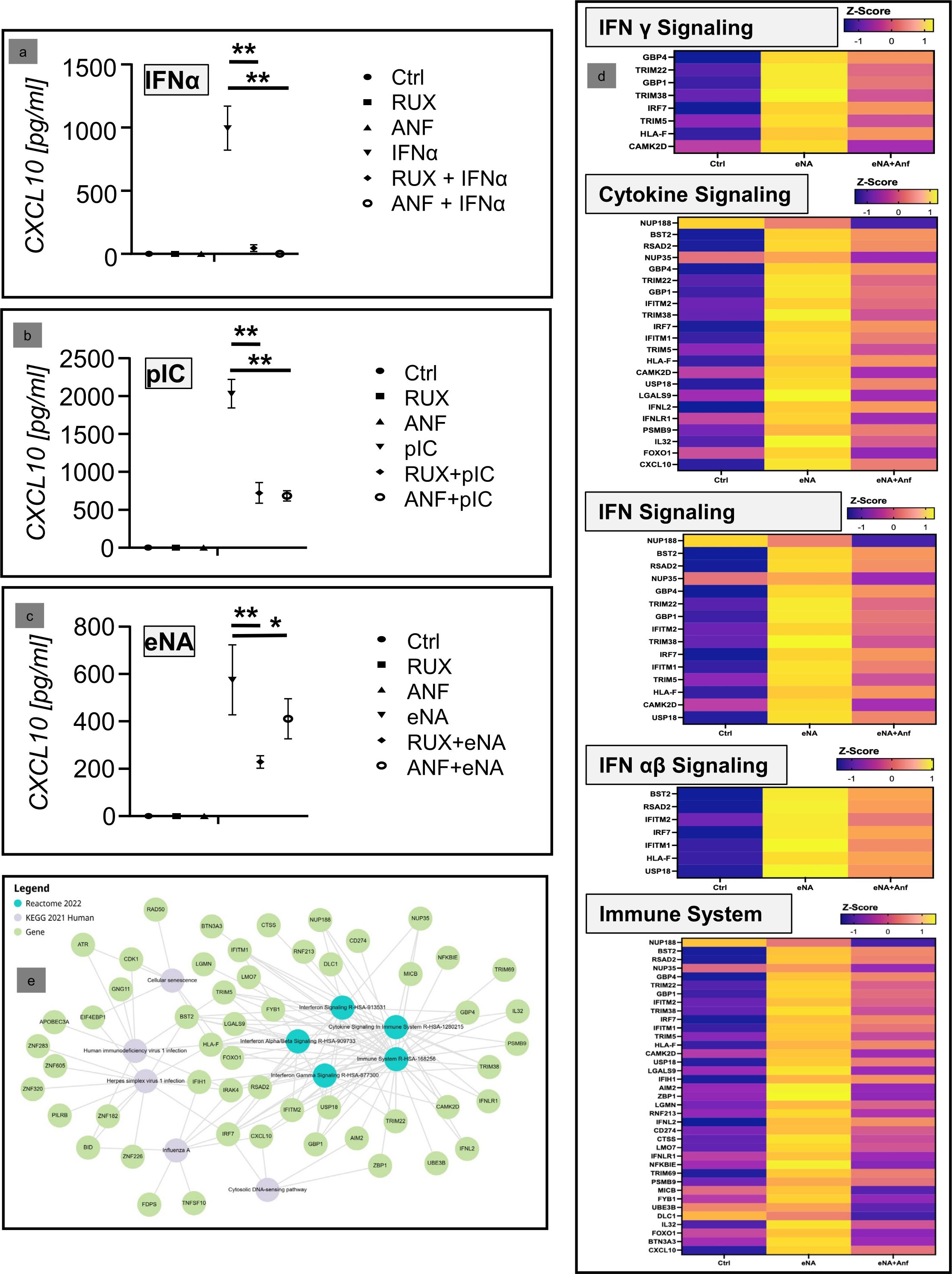 Graphs and heat maps display data on CXCL10 expression and signaling pathways. Panels a, b, and c present dot plots comparing treatments (Ctrl, RUX, ANF, etc.) with varying levels of significance. Panel d contains heat maps showing Z-scores for IFN gamma signaling, cytokine signaling, IFN signaling, IFN alpha-beta signaling, and the immune system. A pathway network map at the bottom links genes to signaling pathways. Legend explains symbols and colors.