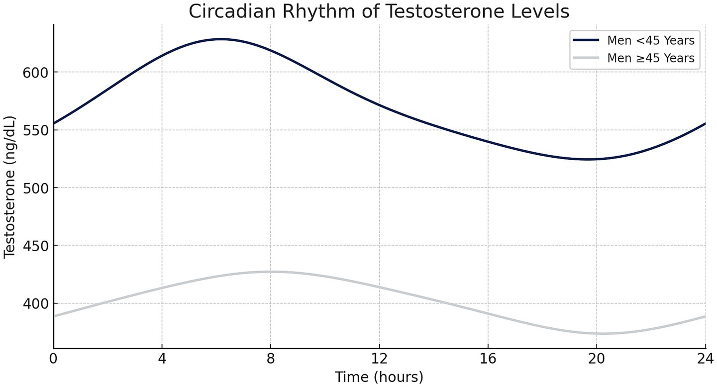 Line graph showing circadian rhythm of testosterone levels in men under and over 45 years. The x-axis represents time in hours, and the y-axis shows testosterone levels in ng/dL. Younger men have higher and more fluctuating levels than older men.