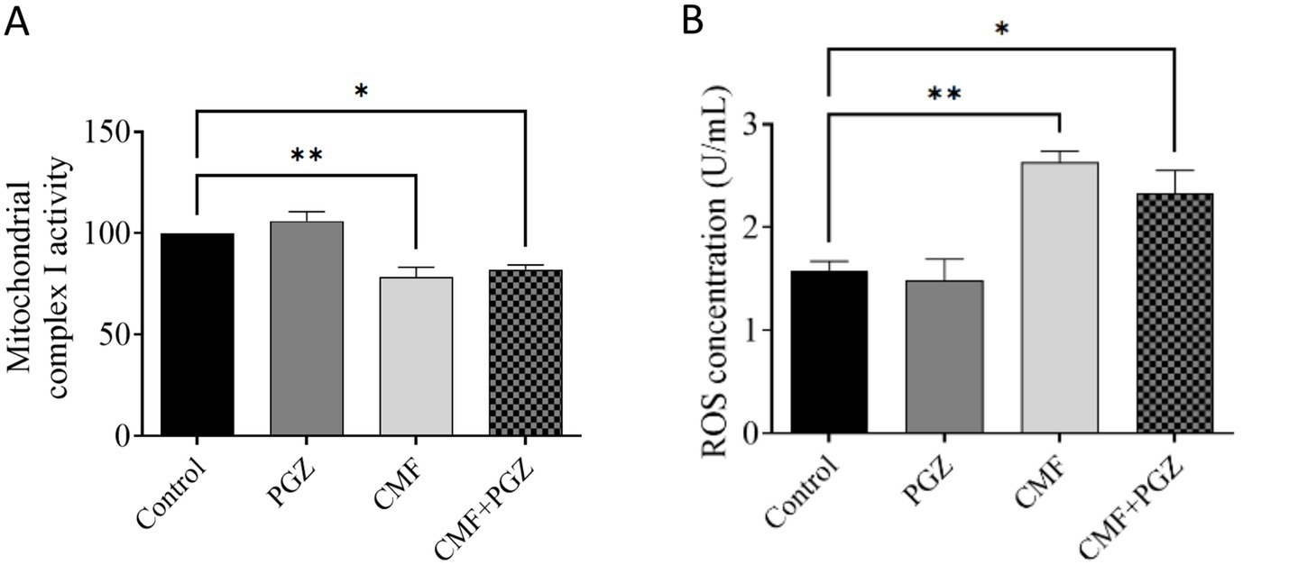 Bar graphs A and B compare mitochondrial complex I activity and ROS concentration among Control, PGZ, CMF, and CMF+PGZ groups. Significant differences are indicated with asterisks. Graph A shows activity levels, while Graph B shows ROS concentration in units per milliliter.