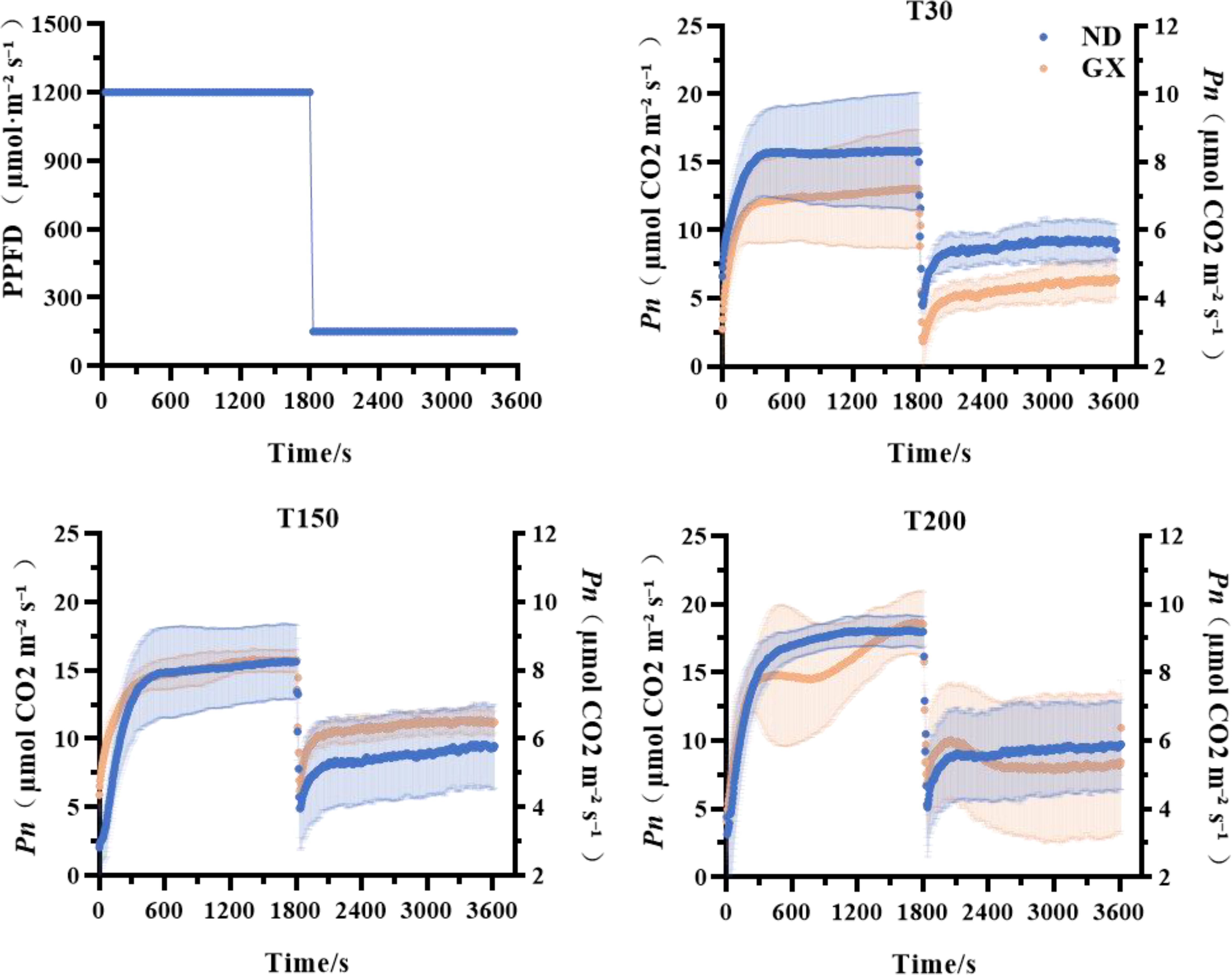 Four graphs showing photosynthesis measurements over time. The top left graph illustrates PPFD values, remaining steady at 1200 μmol/m²/s before dropping to 300. The top right graph (T30), bottom left (T150), and bottom right (T200) display Pn levels for two conditions (ND in blue, GX in orange). All graphs show varying photosynthesis rates; initial increases or steady states are followed by slight reductions. Time is measured in seconds on the x-axis. Error bands indicate variability.