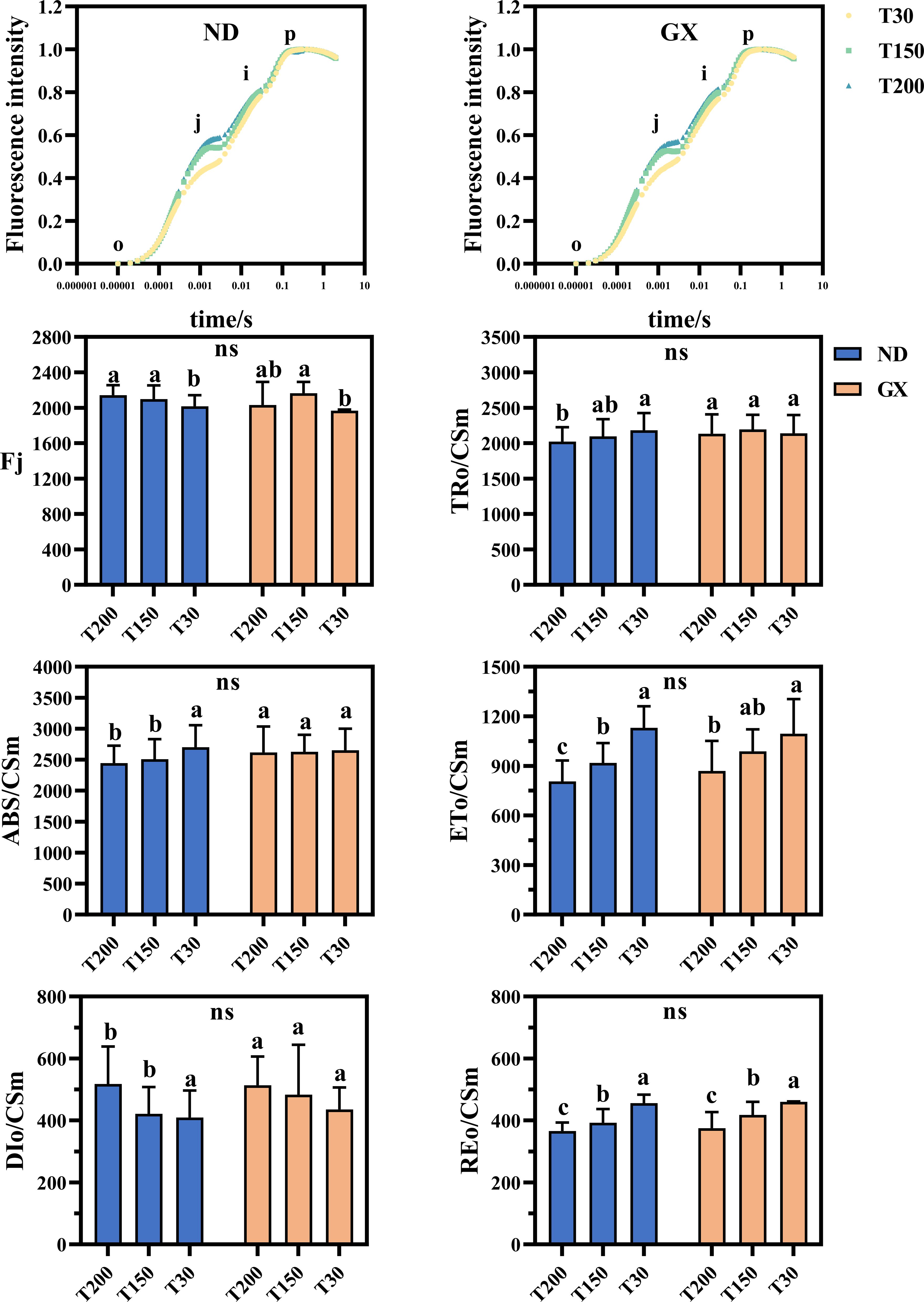 Graphs comparing fluorescence intensity and biochemical parameters under different treatments. Top graphs show fluorescence intensity over time for ND and GX treatments with T30, T150, and T200 conditions. Bar charts display Fj, TRo/CSm, ABS/CSm, ETo/CSm, DIo/CSm, and REo/CSm parameters for both ND and GX, with statistical significance indicated. Graphs use blue for ND and orange for GX.