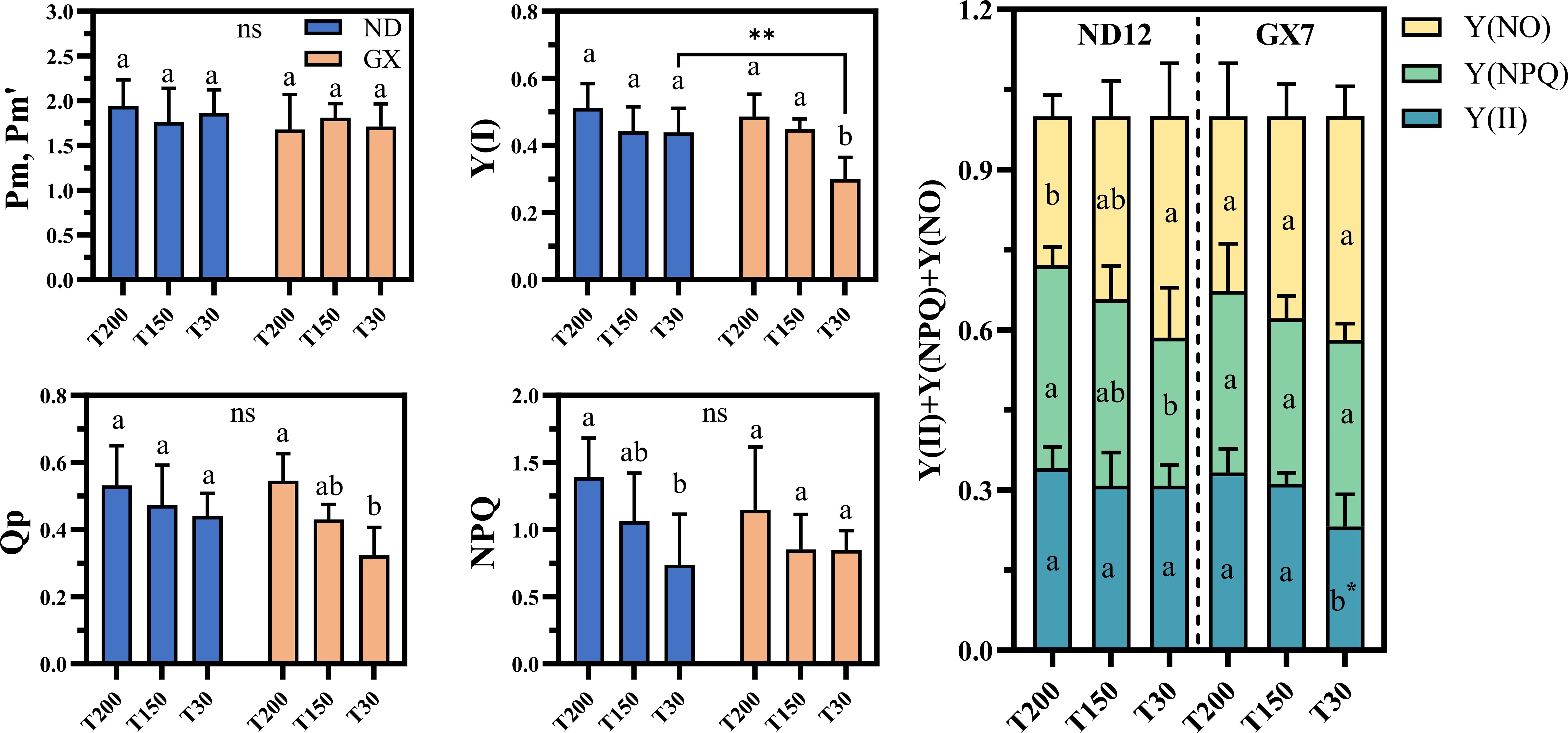 Five bar graphs comparing two groups, labeled ND and GX, across different metrics and conditions (T200, T150, T30). Each panel shows significant differences denoted by “a”, “b”, “ab”, “ns” (not significant), and ** (high significance). Panels include Pm/Pm', Y(I), CEF, NPQ, and Y(II) + Y(NPQ) + Y(NO). The legend distinguishes between Y(NO) (yellow), Y(NPQ) (green), and Y(II) (blue).