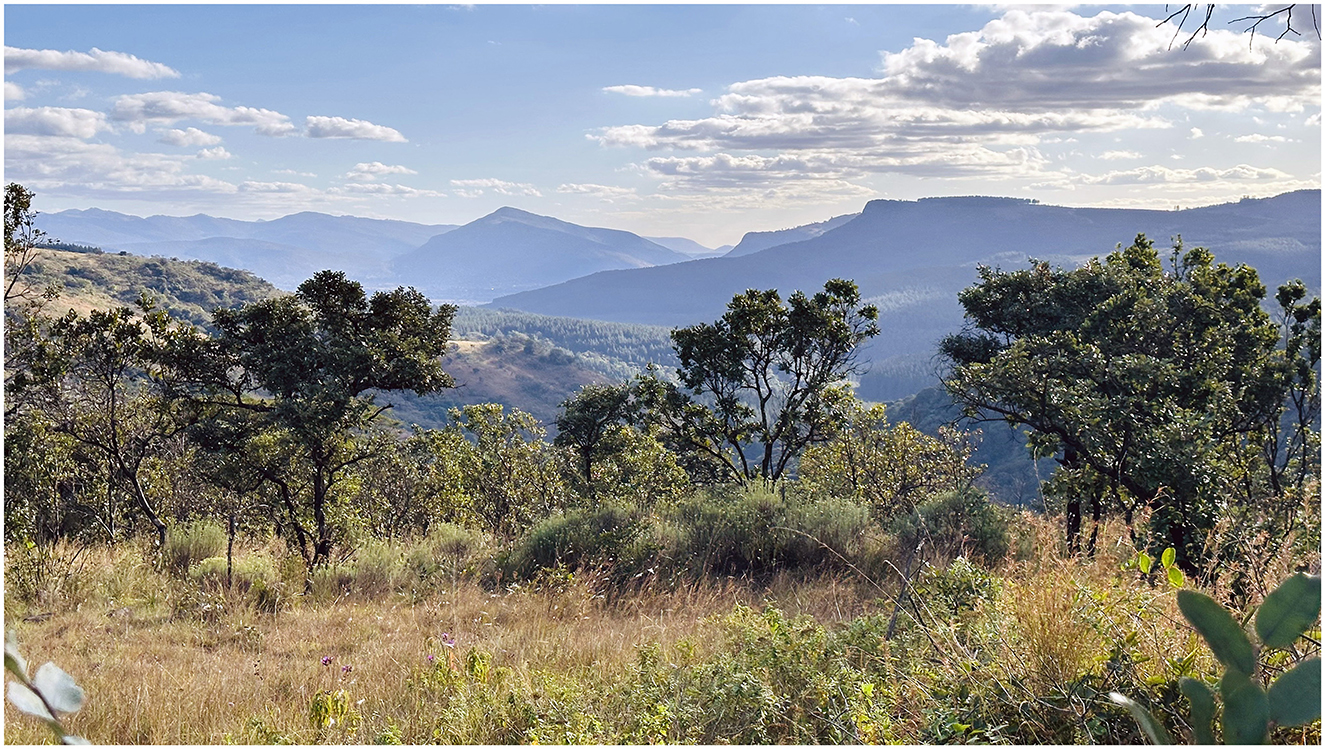 Scenic landscape with rolling hills and distant mountains under a partly cloudy sky. The foreground features grass and scattered trees. The lighting suggests late afternoon or early morning.