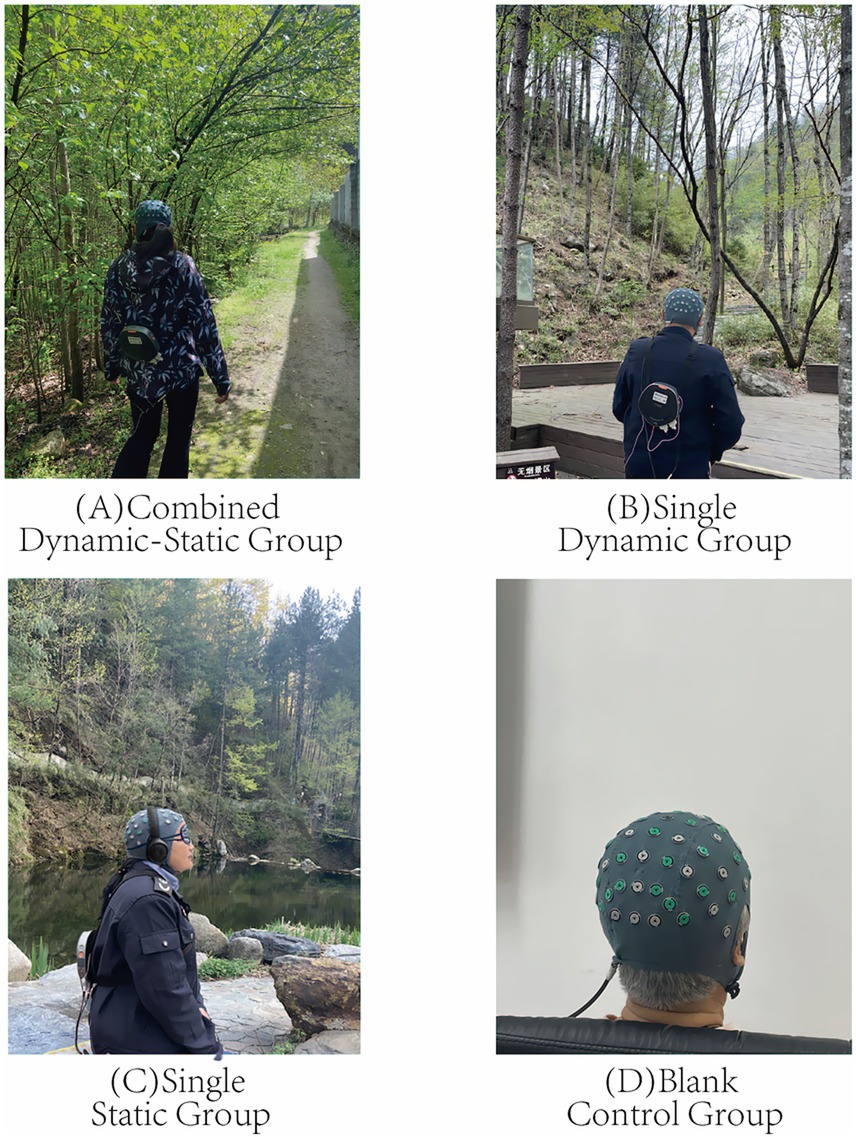 Four-panel image shows individuals wearing EEG caps in different environments. (A) Walking along a wooded path. (B) Standing on a wooden deck in a forest. (C) Sitting beside a pond. (D) Seated indoors against a plain background. Each represents a different experimental group.
