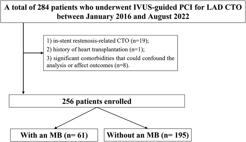 Flowchart detailing patient selection for a study between January 2016 and August 2022. Initially, 284 patients underwent IVUS-guided PCI for LAD CTO. Nineteen patients with in-stent restenosis-related CTO, one with a history of heart transplantation, and eight with significant comorbidities were excluded, leaving 256 patients. These patients were divided into two groups: 61 with an MB and 195 without an MB.