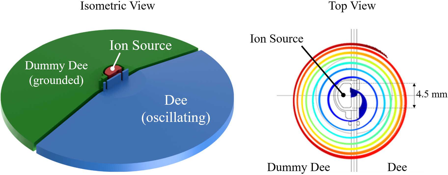 Illustration showing an isometric and top view of a cyclotron. The isometric view highlights the “Dummy Dee” as grounded and the “Dee” as oscillating, with the ion source in the center. The top view displays the beam as it is accelerated and spiraling out from the center. The ion source size of 4.5 millimeters is also indicated.