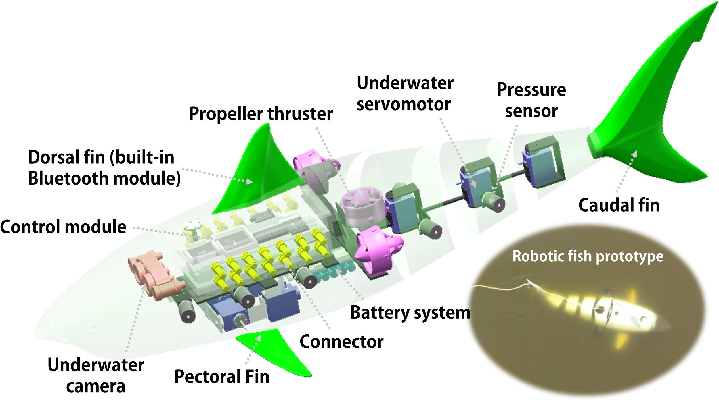 Diagram of a robotic fish labeled with key components: dorsal fin with Bluetooth module, propeller thruster, caudal fin, control module, battery system, underwater servo motor, pressure sensor, connector, underwater camera, and pectoral fin. Inset shows the robotic fish prototype in water.