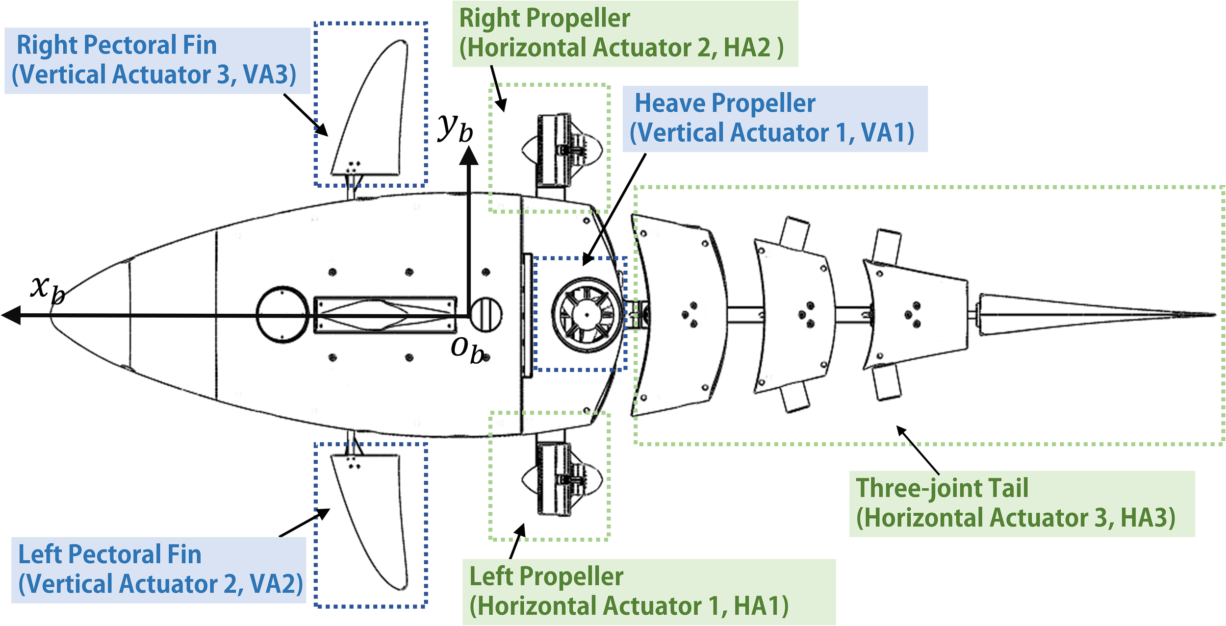 Diagram of an underwater robotic fish showing labeled components: right and left pectoral fins with vertical actuators, right and left propellers with horizontal actuators, a heave propeller with a vertical actuator, and a three-joint tail with a horizontal actuator. Axes are marked as \(x_p\), \(y_b\), and origin as \(o_b\).