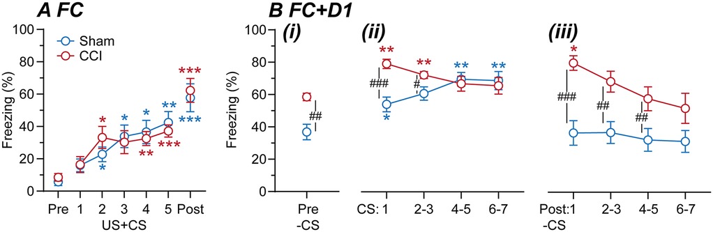 Graph showing freezing behavior (%) in two conditions, Sham (blue) and CCI (red), across different stages. Panel A displays an upward trend from Pre to Post. Panel B shows three sub-panels: (i) Pre-CS with higher freezing in CCI, (ii) CS:1 to 6-7 with initial higher CCI freezing then leveling off, and (iii) Post-CS:1 to 6-7 showing decreasing freezing in CCI. Statistical significance indicated by symbols; asterisks (*) for Sham, hashes (#) for CCI.