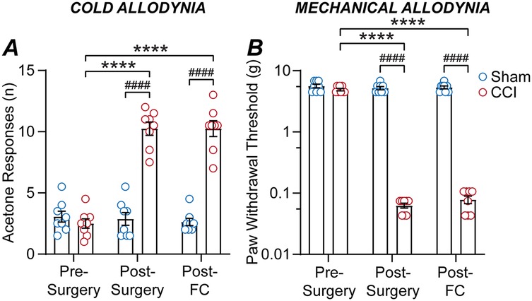Graphs A and B compare cold and mechanical allodynia in sham (blue) and CCI (red) groups. A shows acetone responses, with significant increases post-surgery and post-FC in the CCI group. B illustrates paw withdrawal threshold, showing a significant drop in the CCI group post-surgery and post-FC. Asterisks and hashtags indicate statistical significance.