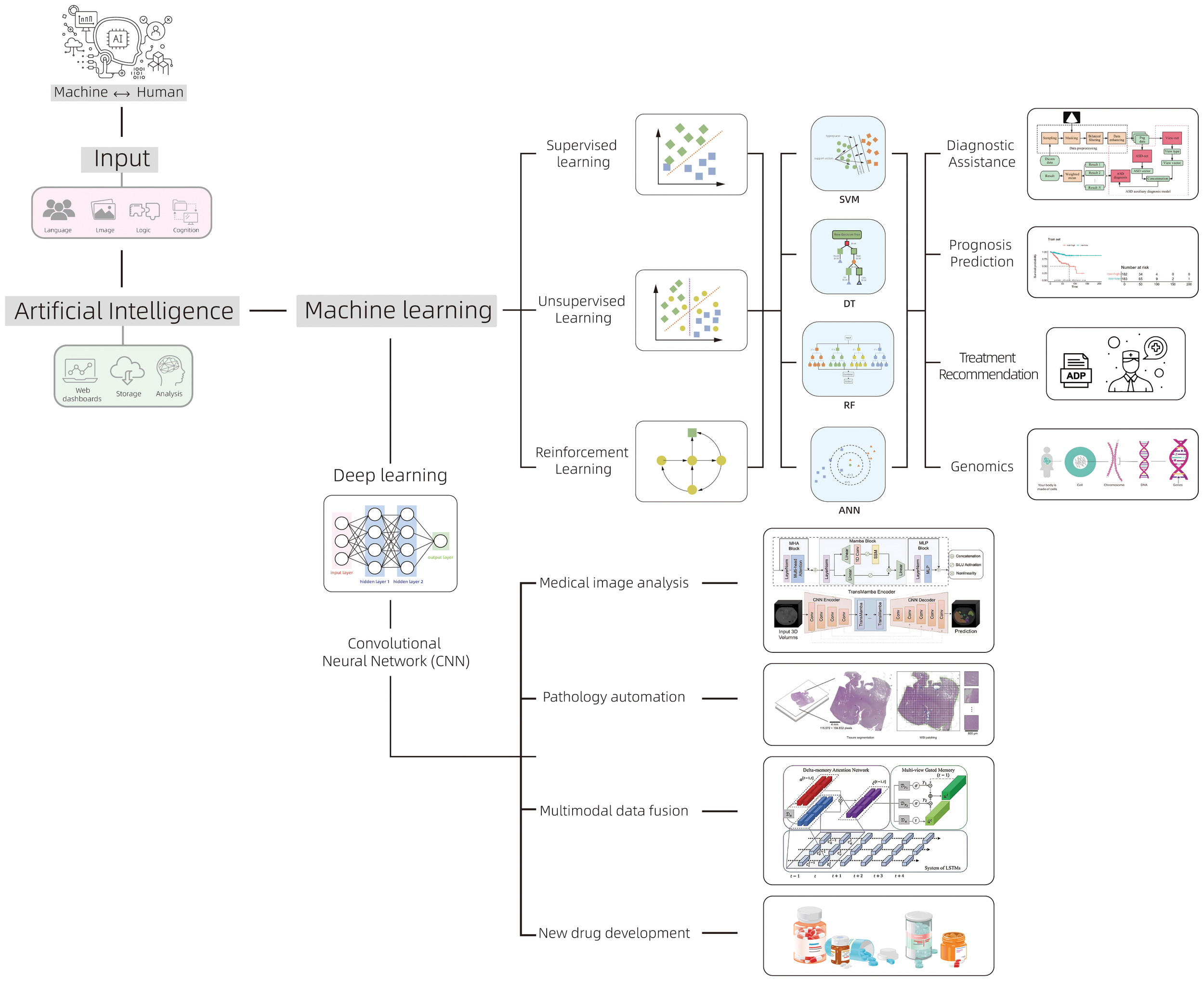 Flowchart depicting the relationship between artificial intelligence, machine learning, and deep learning with applications in healthcare. It illustrates various learning methods: supervised, unsupervised, and reinforcement, and their applications like diagnostic assistance, prognosis prediction, treatment recommendation, and genomics. Deep learning with convolutional neural networks is shown applied in medical imaging, pathology automation, multimodal data fusion, and new drug development.