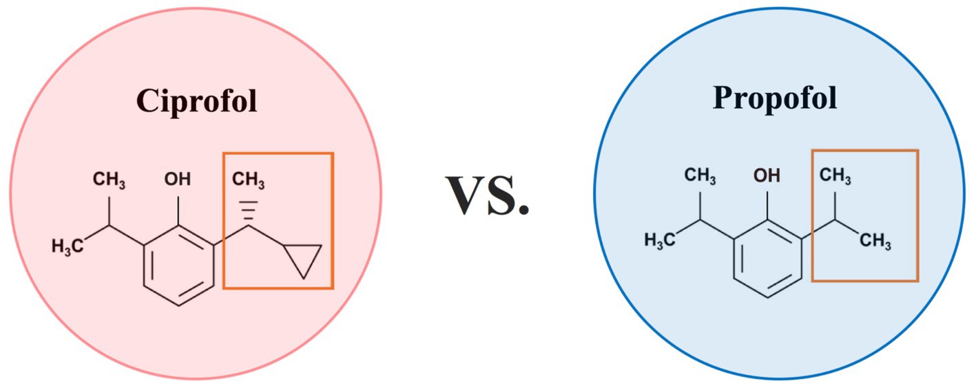 Chemical structures of Ciprofloxacin and Propofol are compared. Ciprofloxacin, in a pink circle, includes a cyclopropyl group. Propofol, in a blue circle, has an isopropyl group. Both structures highlight differences in molecular composition.