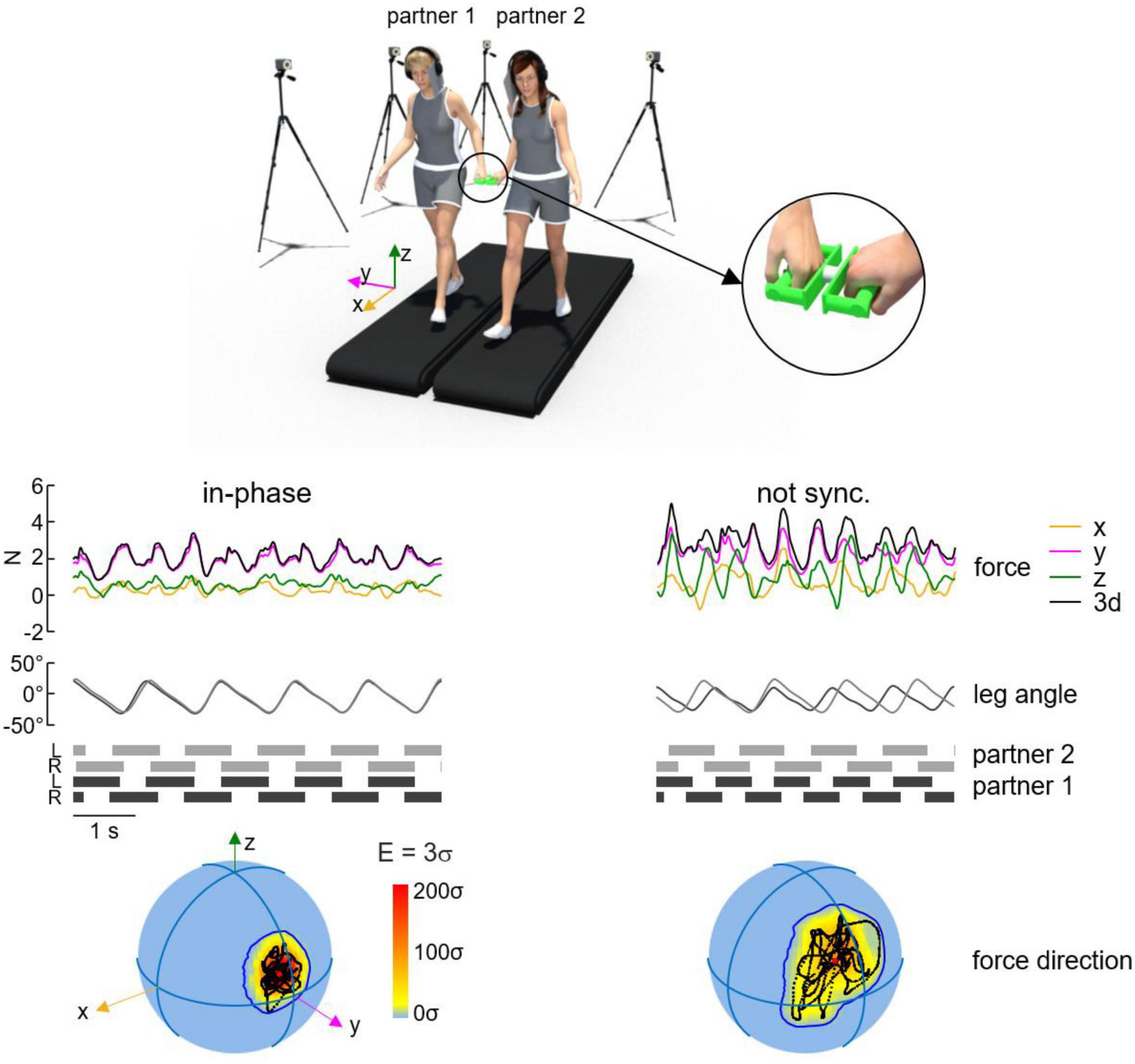 Two people walk on adjacent treadmills while connected by a device at the ankles, monitored by cameras. Graphs show synchronized and unsynchronized movements with force and leg angle data. Color-coded diagrams illustrate force direction and coordination in different phases.