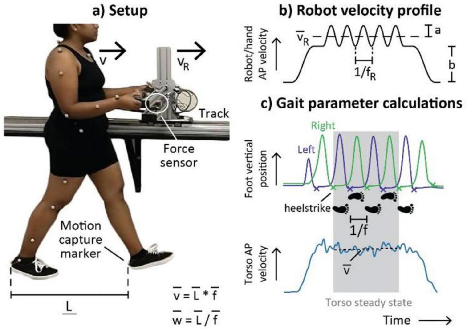 A composite image showing three sections: a) a person walking on a track with motion capture markers, holding a force sensor; b) a graph of robot and hand velocity profile with labeled periods and frequency; c) graphs illustrating gait parameter calculations, including foot vertical position and torso velocity over time, highlighting heel strike moments.