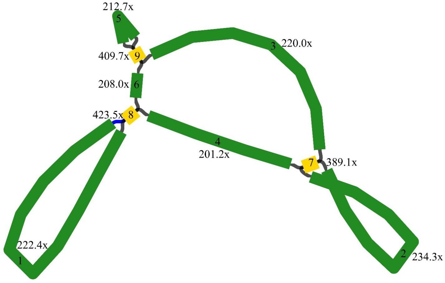 Diagram with interconnected green paths labeled numerically from 1 to 9. Yellow diamond-shaped nodes are labeled along the paths, displaying multiplication factors such as 212.7x, 220.0x, and 389.1x. Paths form loops and branches, connected by gray lines.