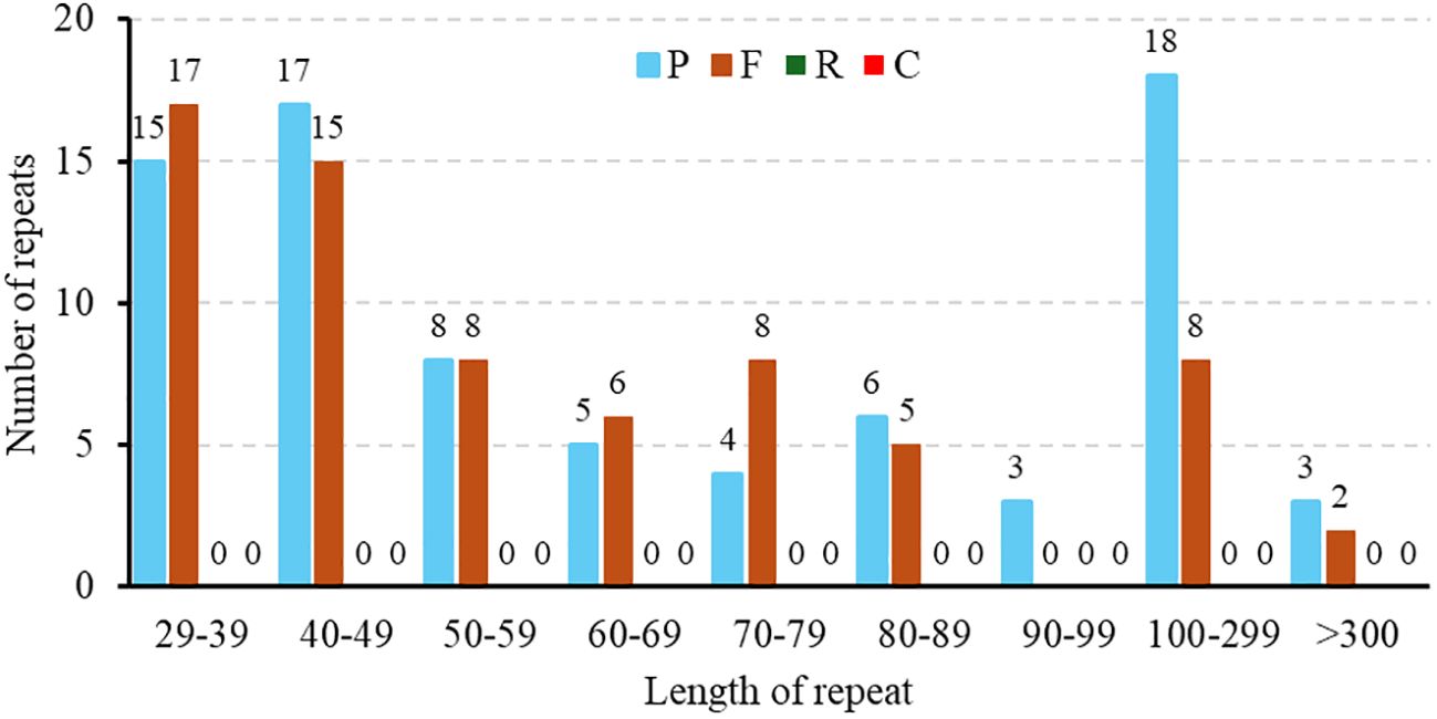Bar chart showing the number of repeats categorized by the length of repeat for four groups: P (light blue), F (brown), R (green), and C (red). P shows the highest number of repeats in the 100-299 range with 18, while F shows varied frequencies but highest in 29-39 with 17. Other groups have minimal or no repeats across the ranges.