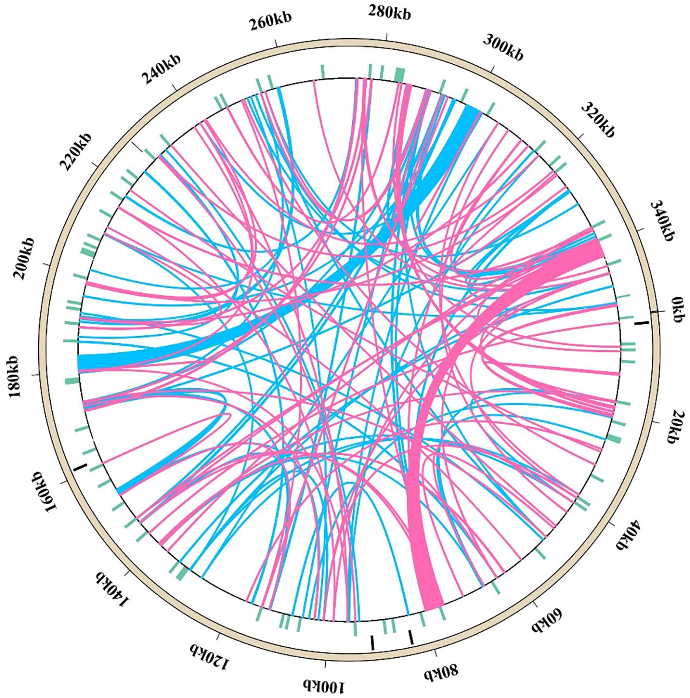 Circular schematic showing genomic data connections. The circle is labeled with kilobase (kb) measurements. Curved lines within the circle, in pink and blue, connect various points, representing relationships or similarities in the data.