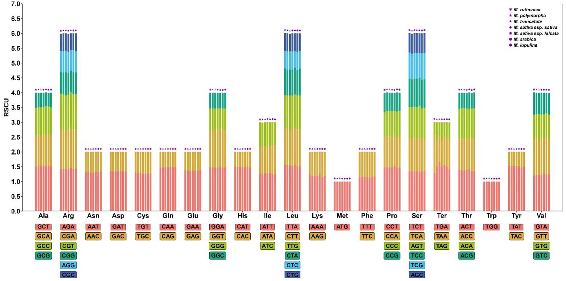 A stacked bar chart displaying Relative Synonymous Codon Usage (RSCU) for various amino acids, represented on the x-axis, with RSCU values on the y-axis. Different colors indicate specific codons and they represent species such as *M. ruthenica*, *M. polymorpha*, and others. Each amino acid has multiple colored bars denoting different codons beneath it, along with a separate legend on the right for species identification.