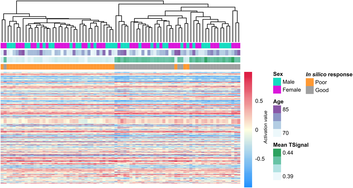 Heatmap displaying activation values with hierarchical clustering. Columns represent samples, and rows represent features. Annotation bars indicate sex (male in cyan, female in magenta), in silico response (poor in orange, good in gray), age gradient, and mean TSignal values. Color scale represents activation values from red (high) to blue (low).