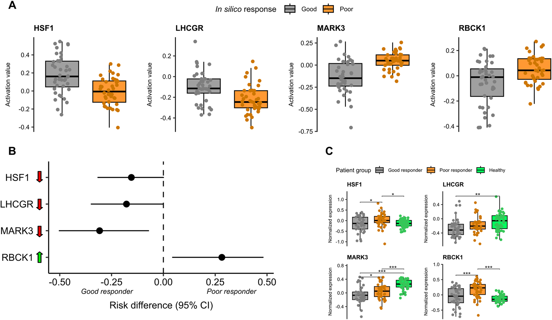 Panel A shows box plots of activation values for HSF1, LHCGR, MARK3, and RBCK1, comparing good and poor responders. Panel B presents a risk difference chart for these genes, showing confidence intervals. Panel C illustrates box plots of normalized expression for HSF1, LHCGR, MARK3, and RBCK1 across patient groups: good responders, poor responders, and healthy individuals, with statistical significance indicated.