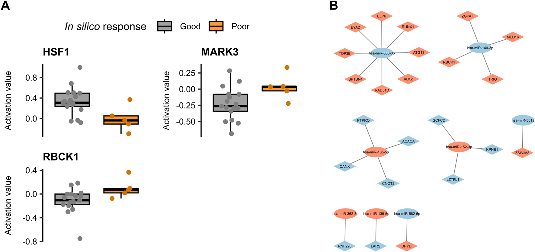 Panel A shows box plots of activation values for HSF1, MARK3, and RBCK1, comparing good (gray) and poor (orange) in silico responses. Panel B illustrates gene interaction networks with miRNAs like hsa-miR-338-3p connected to various genes, depicted in red and blue nodes.