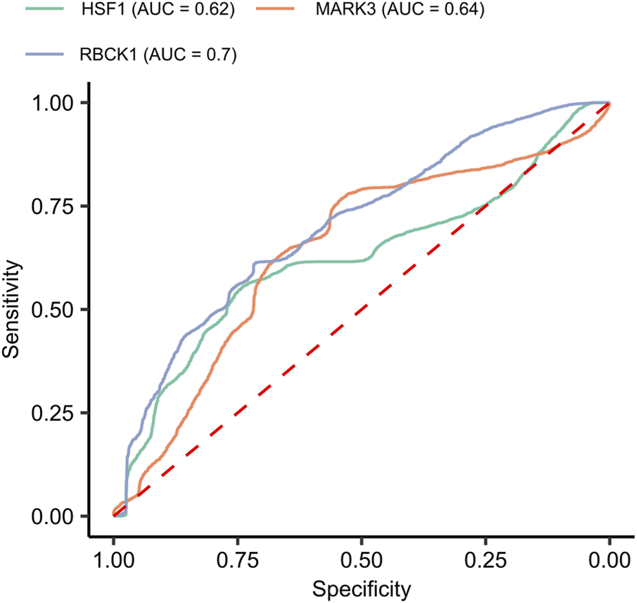 ROC curve comparing the performance of three models: HSF1 (AUC = 0.62) in green, MARK3 (AUC = 0.64) in orange, and RBCK1 (AUC = 0.7) in blue. Sensitivity is plotted against specificity, with a red dashed diagonal line representing random chance.