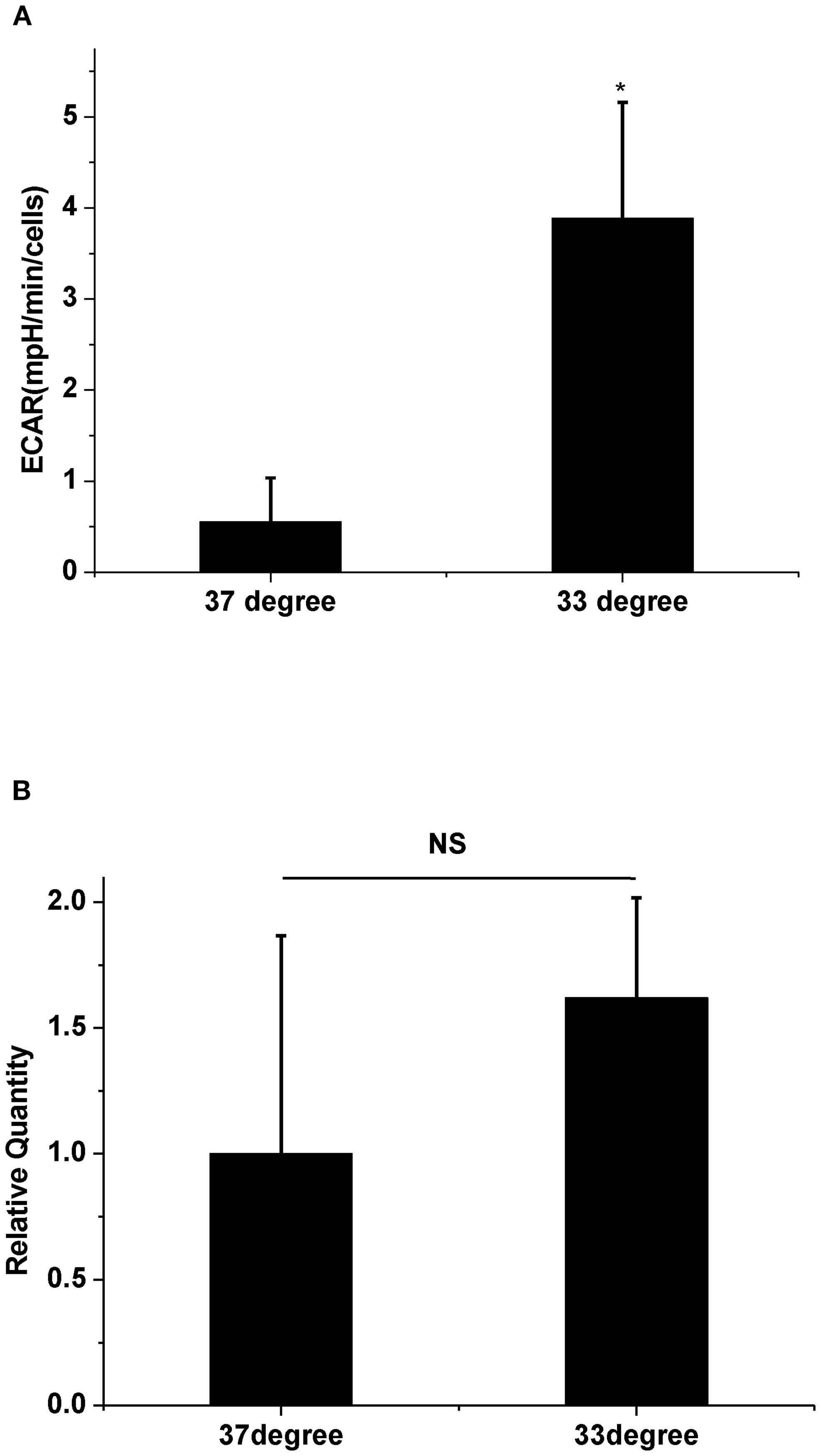 Bar graphs comparing data at two temperatures. In panel A, ECAR in mpH per minute per cells is higher at 33 degrees, marked significant with an asterisk, compared to 37 degrees. In panel B, relative quantity shows no significant difference between 37 and 33 degrees, labeled as NS. Both graphs display error bars.